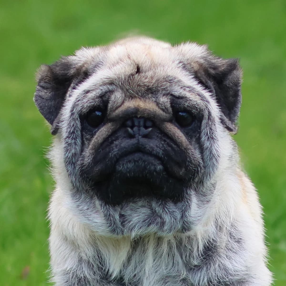 Mona - Aanvragen afgesloten