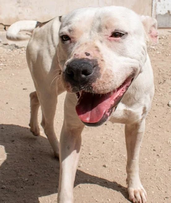 ❤️Trica❤️ photo 6