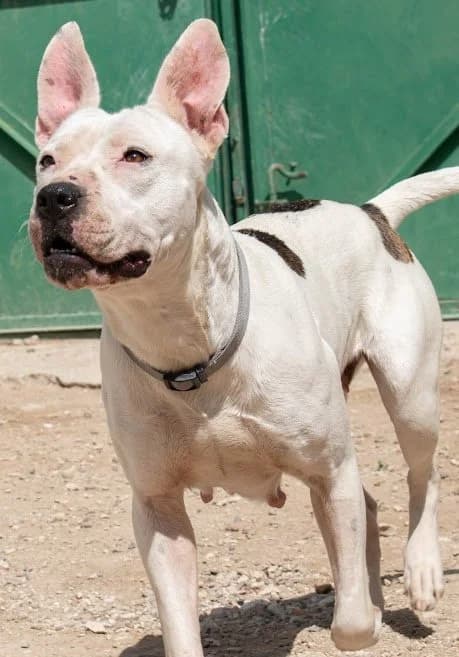 ❤️Trica❤️ photo 8