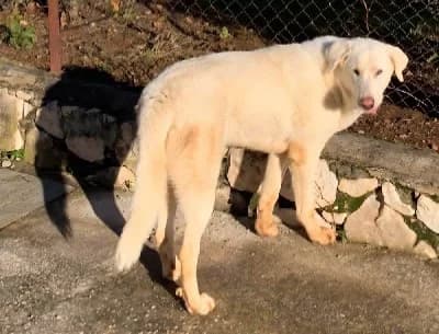 ZOE-ZOITA 24370 photo 3