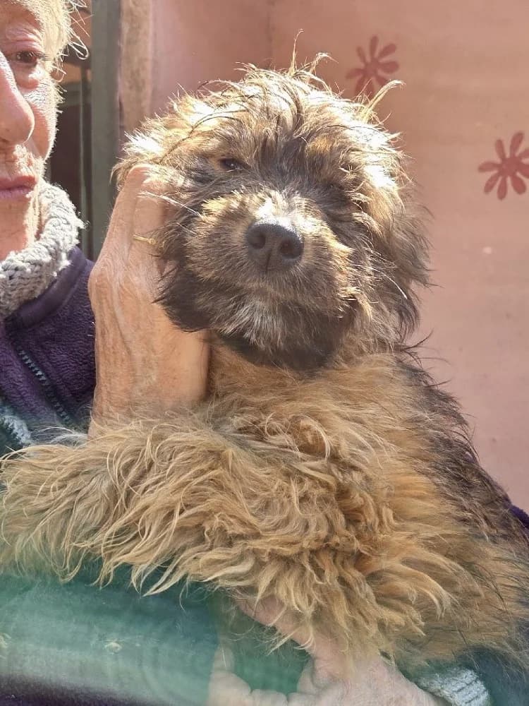 POUPETTE 24558 photo 3