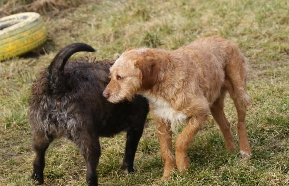 ❤️Elias❤️ photo 6