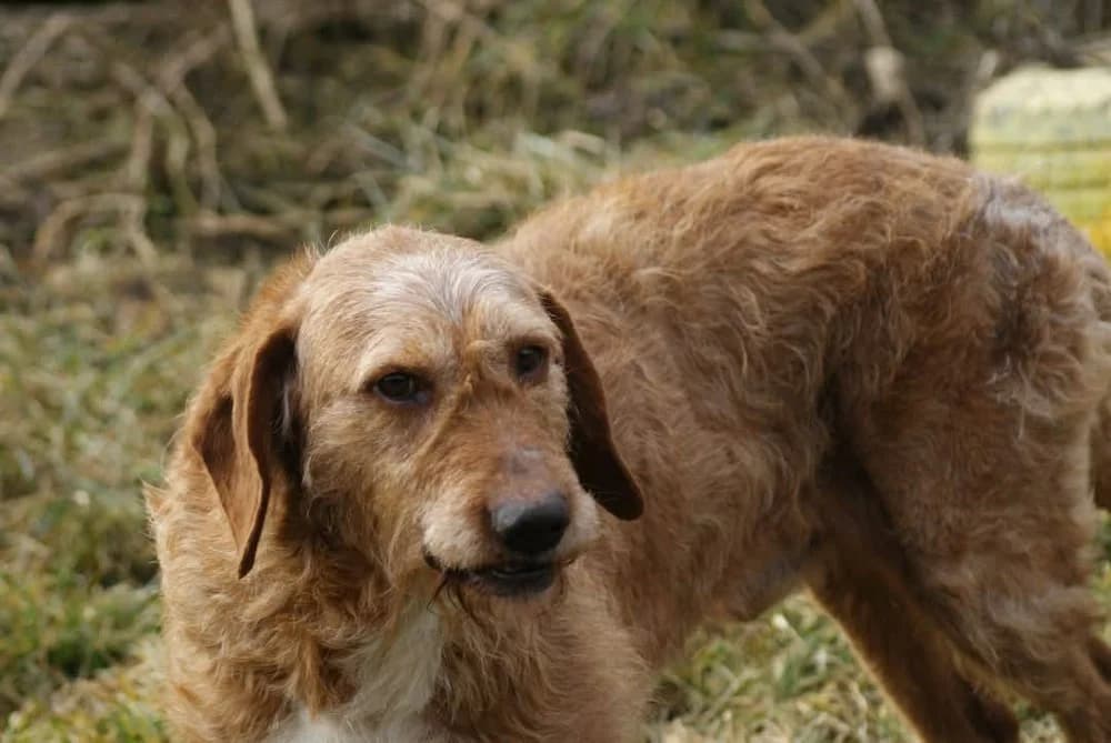 ❤️Elias❤️ photo 8