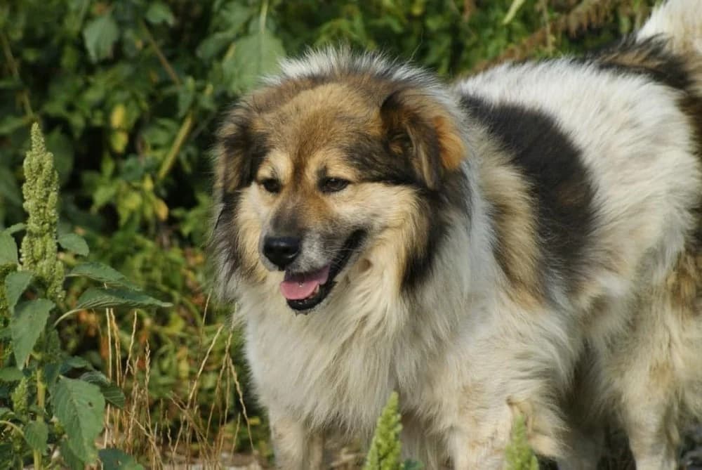 ❤️Franklin❤️ photo 3