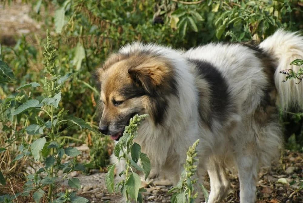 ❤️Franklin❤️ photo 7