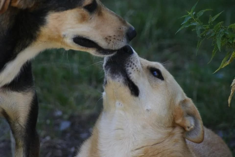 ❤️Fred❤️ photo 3