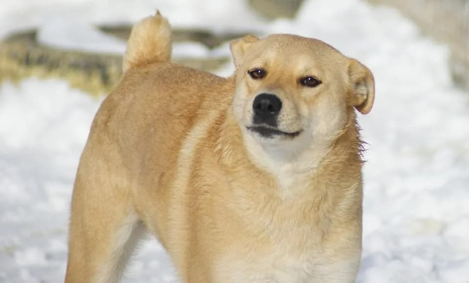 ❤️Fred❤️ photo 4