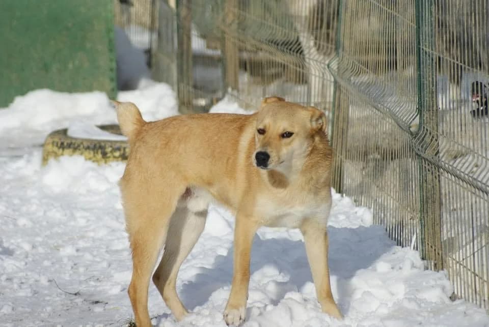 ❤️Fred❤️ photo 5