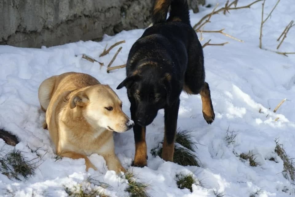 ❤️Fred❤️ photo 6