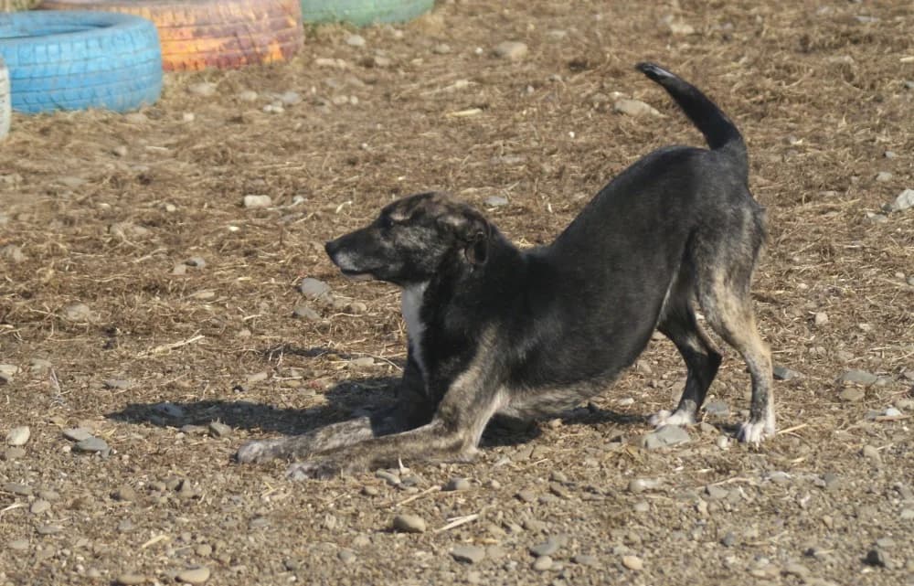 ❤️Bella❤️ photo 3