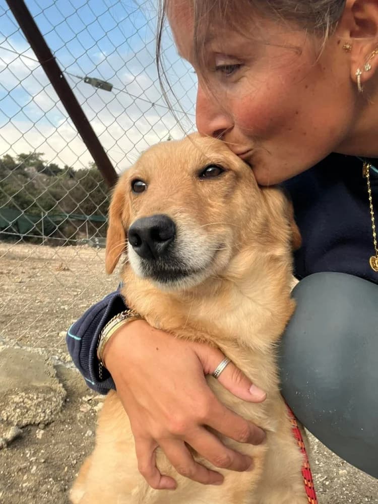 ADONIS*kattest mogelijk! photo 5