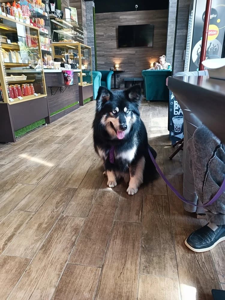 Arisha een liefdevol hart photo 6