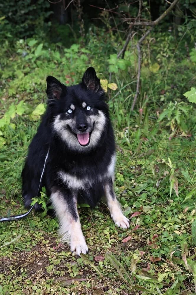 Arisha een liefdevol hart