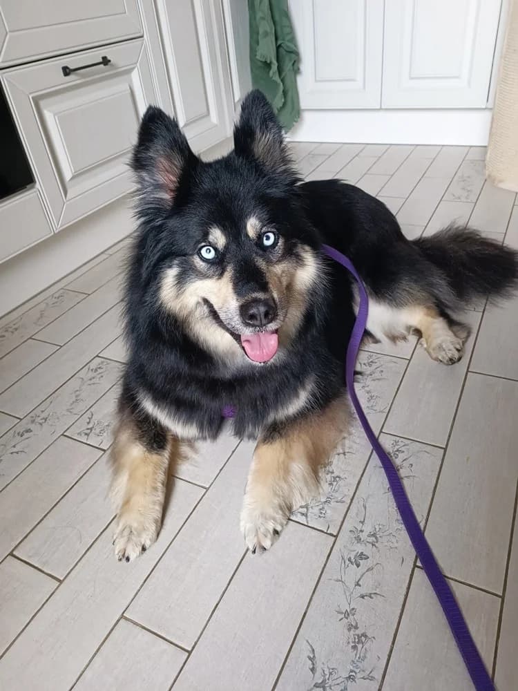 Arisha een liefdevol hart photo 2