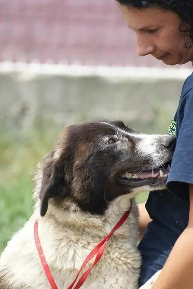 ❤️Ayana❤️ photo 5