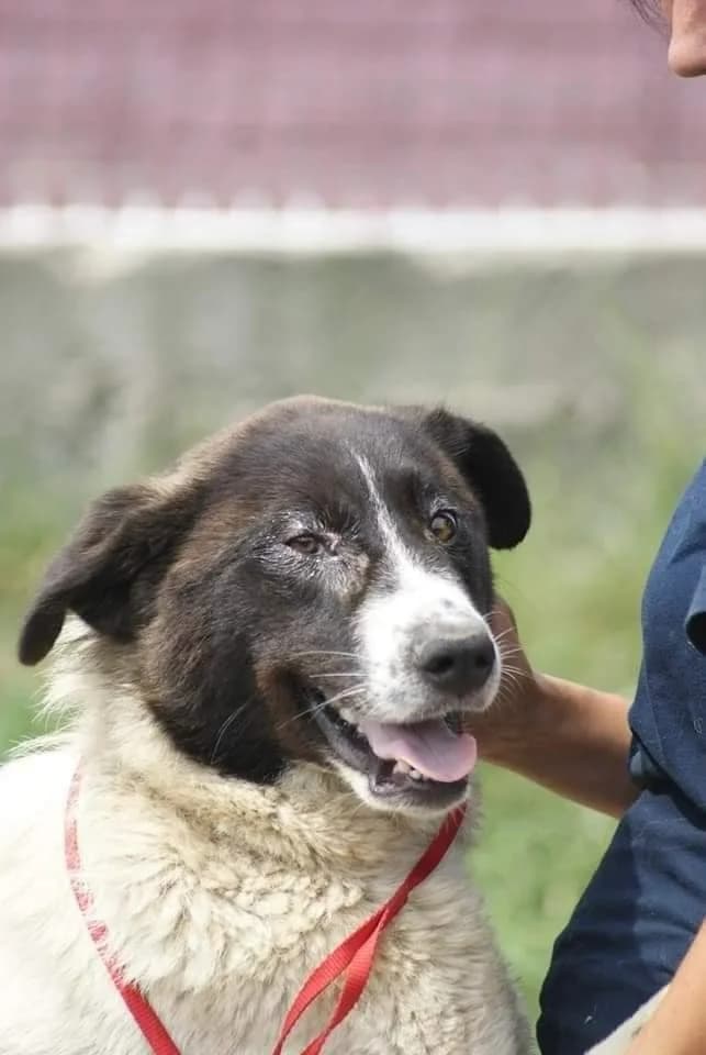 ❤️Ayana❤️ photo 6