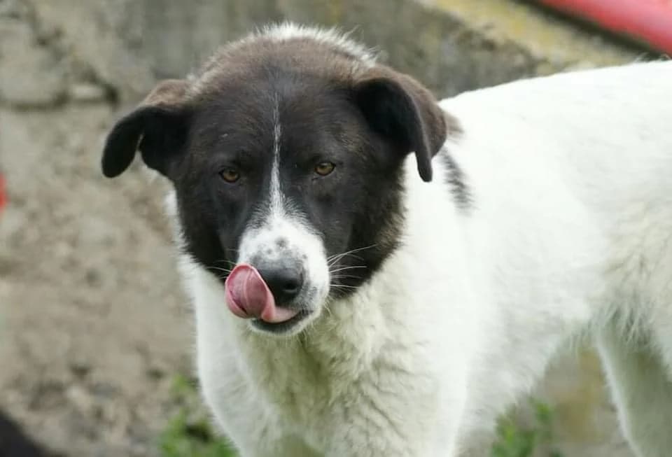 ❤️Ayana❤️ photo 7