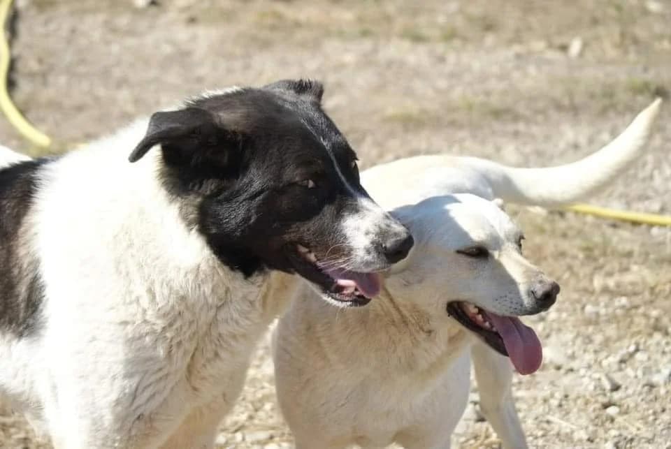 ❤️Ayana❤️ photo 8