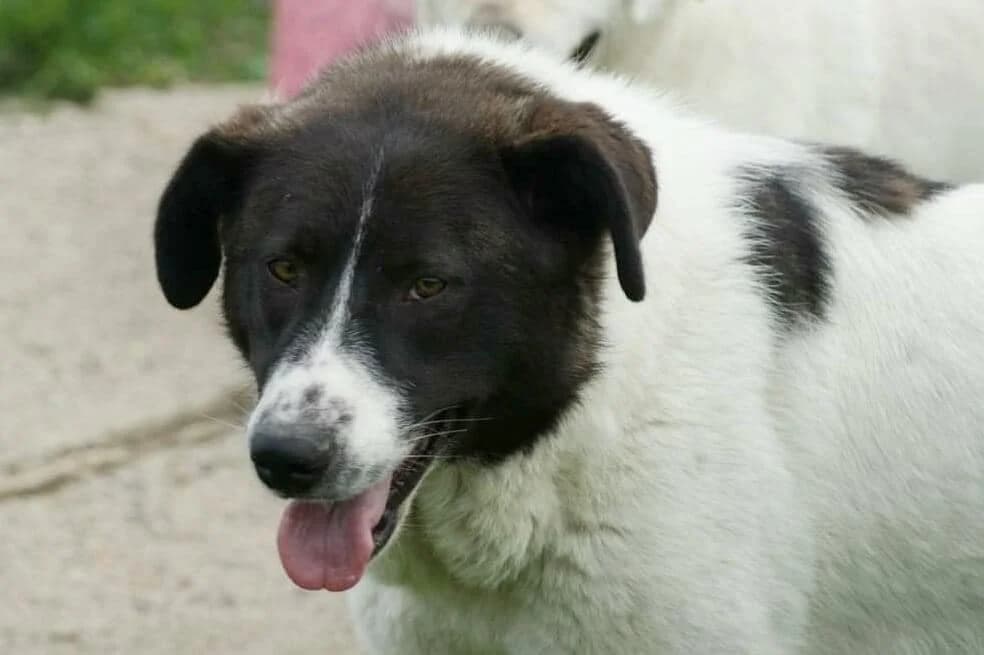 ❤️Ayana❤️ photo 2