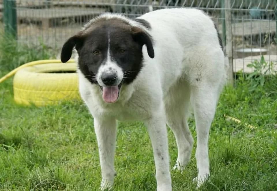 ❤️Ayana❤️ photo 3