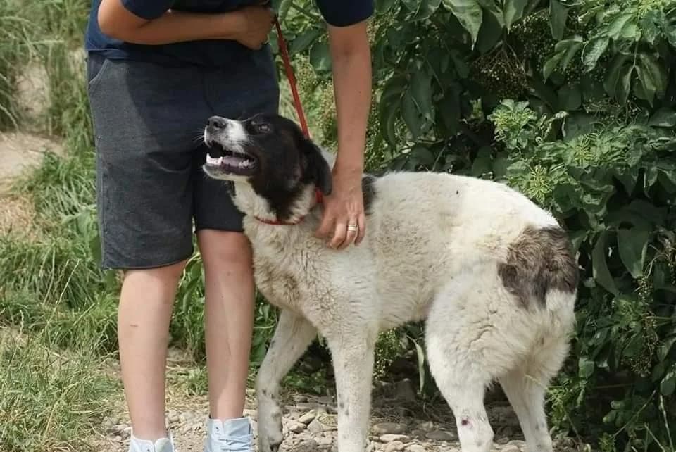 ❤️Ayana❤️ photo 4