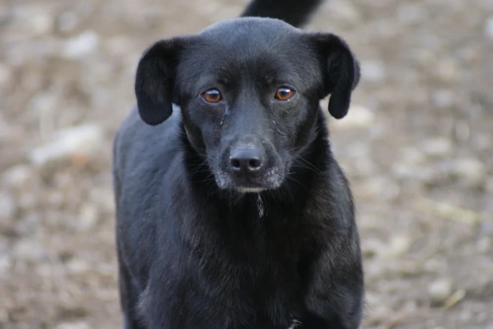 ❤️Beauty❤️ photo 5