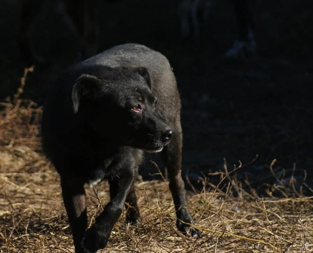 ❤️Beauty❤️ photo 6