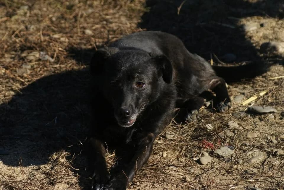 ❤️Beauty❤️ photo 7