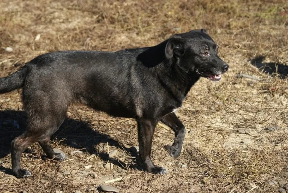 ❤️Beauty❤️ photo 8