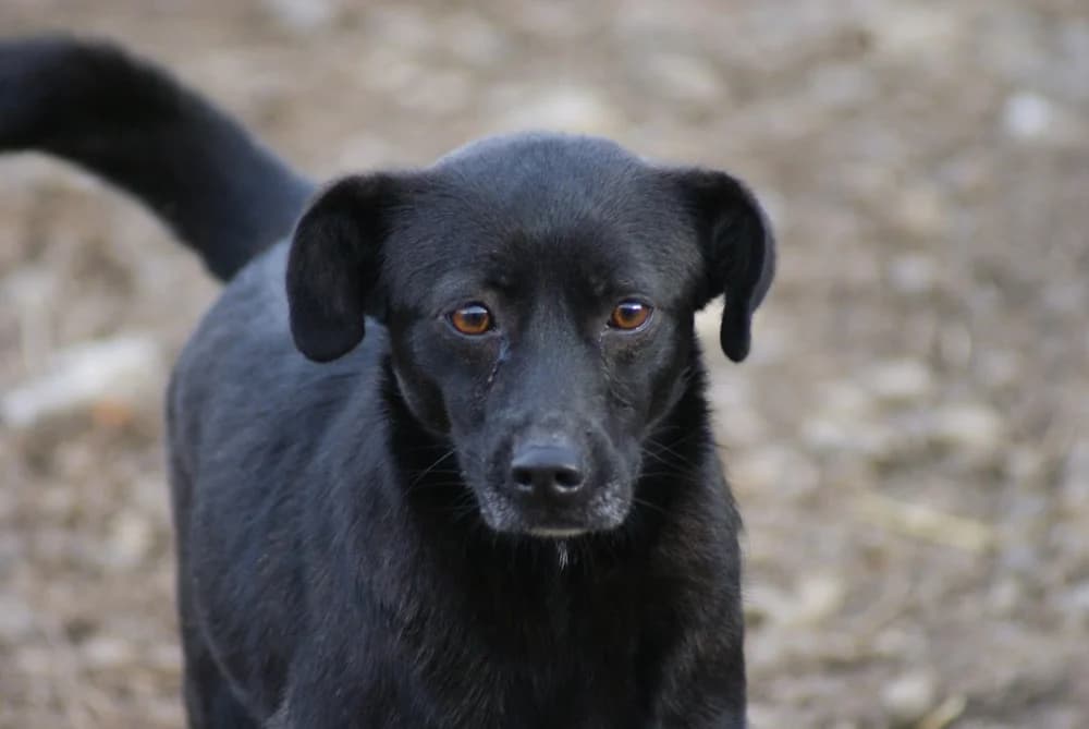 ❤️Beauty❤️ photo 2