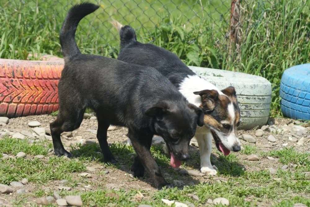 ❤️Beauty❤️ photo 3