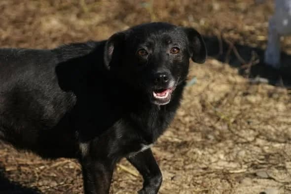 ❤️Beauty❤️ photo 4