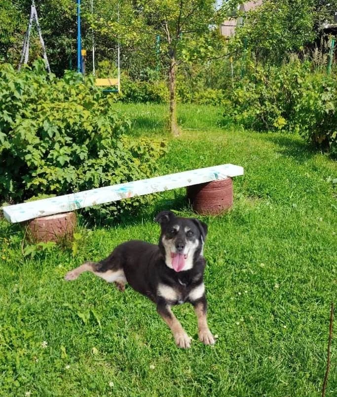 Boni zoekt haar baasje photo 8