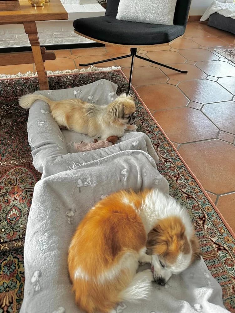 BRUNIE & MIKROULIS photo 5