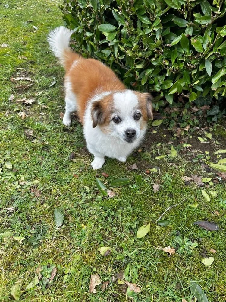 BRUNIE & MIKROULIS photo 6