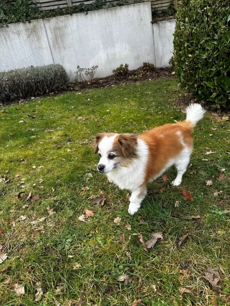 BRUNIE & MIKROULIS photo 8