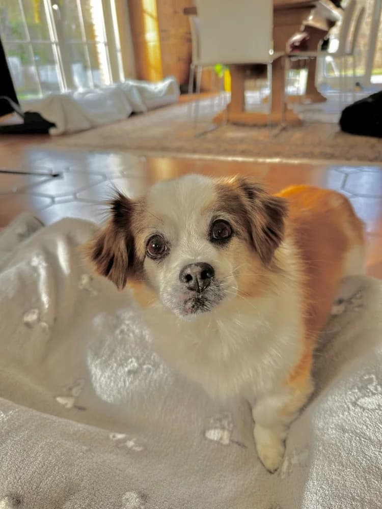 BRUNIE & MIKROULIS photo 3