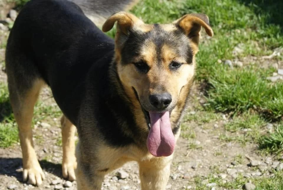 ❤️Calin❤️ photo 5