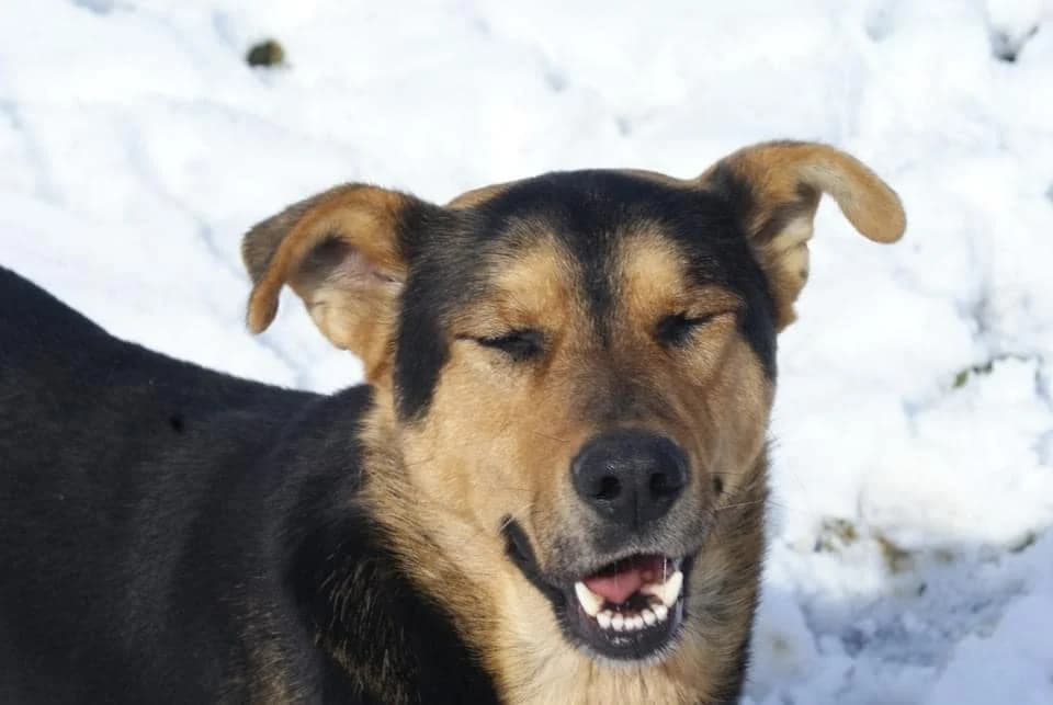 ❤️Calin❤️ photo 6