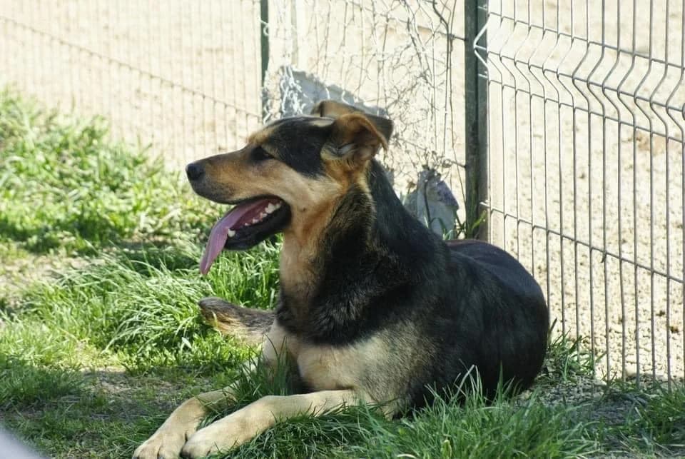 ❤️Calin❤️ photo 7