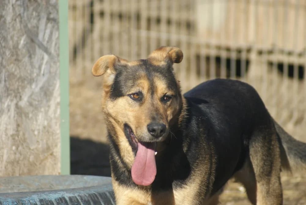 ❤️Calin❤️ photo 8