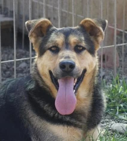 ❤️Calin❤️ photo 2