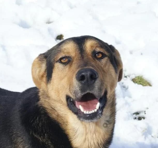 ❤️Calin❤️ photo 3