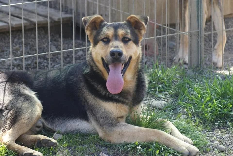 ❤️Calin❤️ photo 4