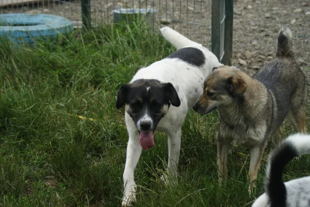 ❤️Cara Mia❤️ photo 6