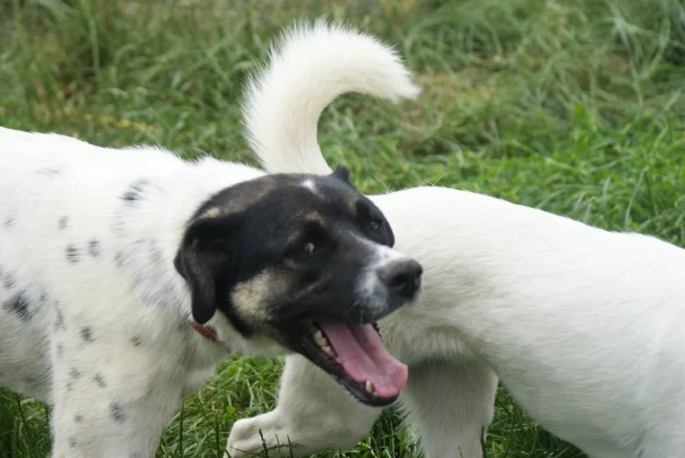 ❤️Cara Mia❤️ photo 7