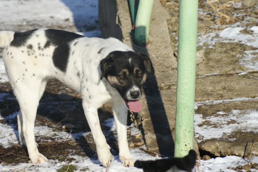 ❤️Cara Mia❤️ photo 8