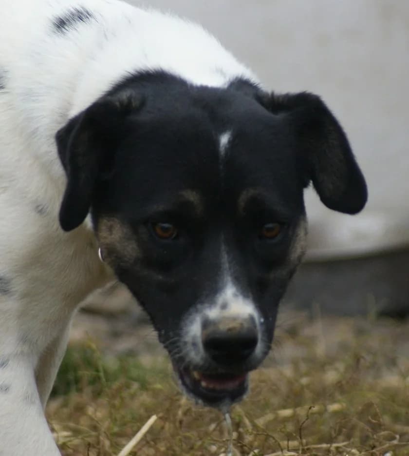 ❤️Cara Mia❤️ photo 2