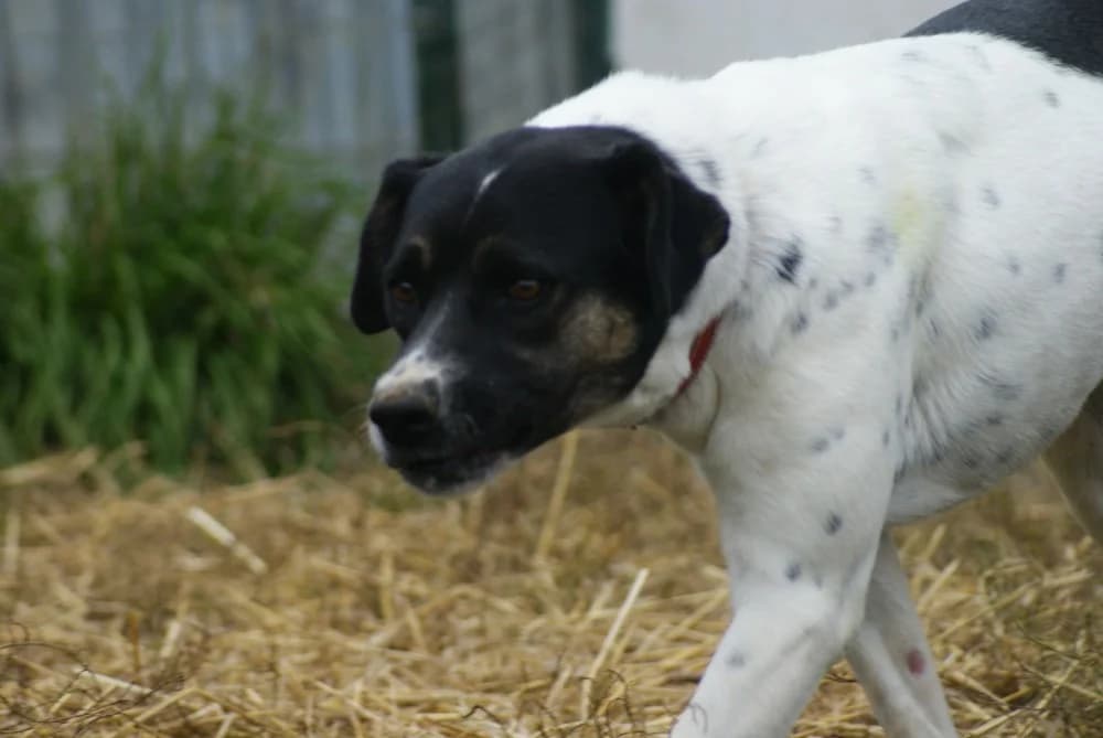 ❤️Cara Mia❤️ photo 3