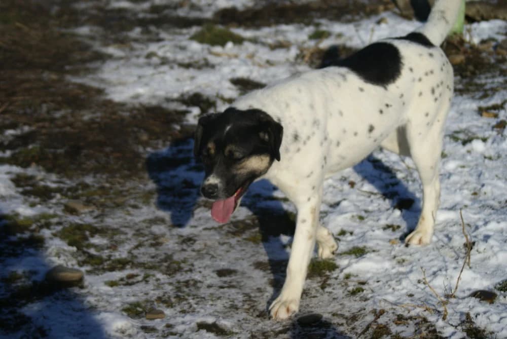 ❤️Cara Mia❤️ photo 4